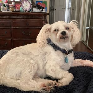 Meet your Posher, Jan